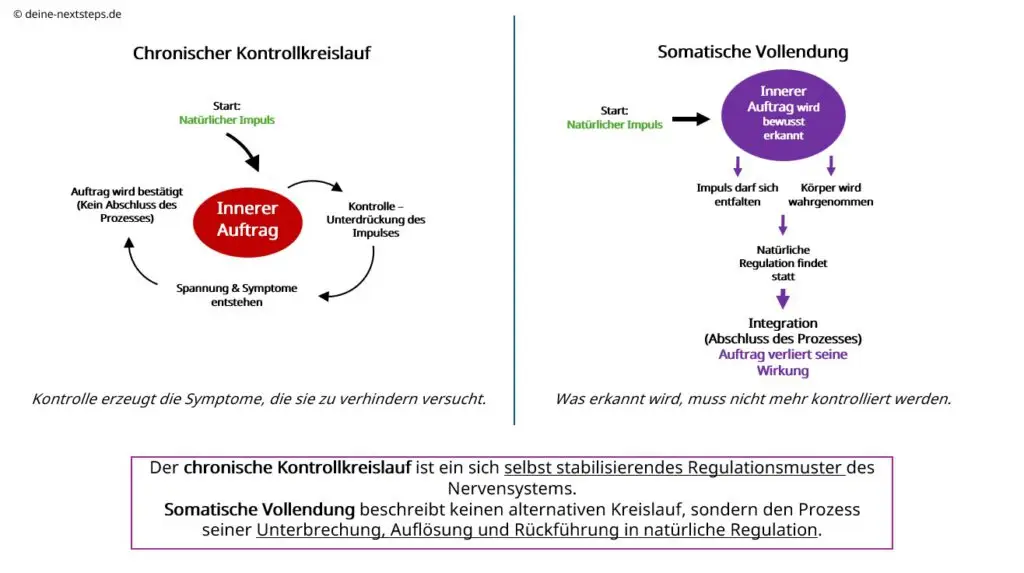 Chronischer Kontrollkreislauf und somatische Vollendung – Grafik zur Erklärung des inneren Auftrags im Nervensystem