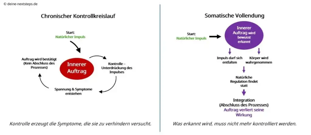 Chronischer Kontrollkreislauf und somatische Vollendung – Grafik zur Erklärung des inneren Auftrags im Nervensystem